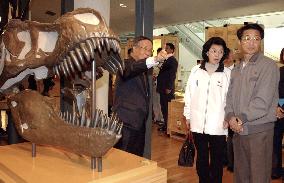Chimuras visit dinosaur museum